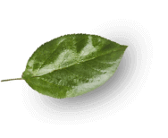 Feuille1