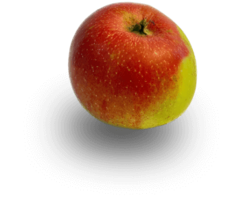pomme