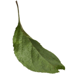 Feuille1