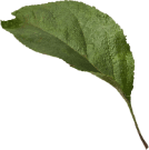 Feuille2