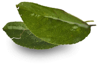 Feuille3