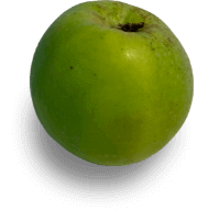 pomme