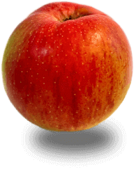 pomme