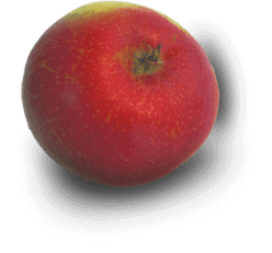 pomme