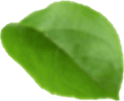 Feuille1