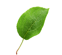 Feuille2