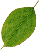 Feuille1