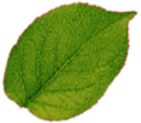 Feuille2