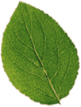 Feuille3