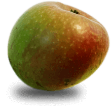 pomme