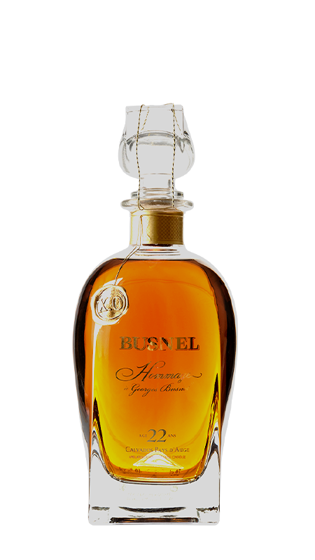 BUSNEL Calvados Pays d'Auge AOC Cuvée Hommage 22 years - Carafe